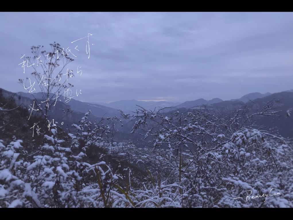 探索医疗器械广告除注明经济内容注意事项详见说明书外还需注明什么的红迪网社区